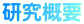 研究概要