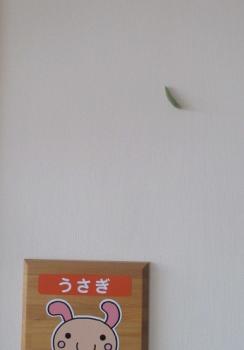ファイル名: IMG_6707.jpg
ファイルサイズ: 5.3KB IMG_6707