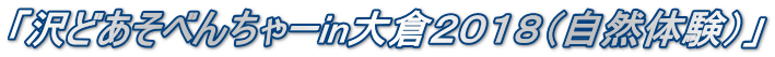 「沢どあそべんちゃーin大倉2018(自然体験)」