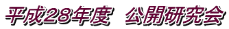 平成28年度 公開研究会