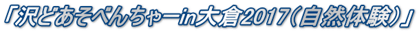 「沢どあそべんちゃーin大倉2017(自然体験)」