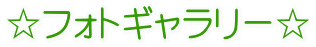 ☆フォトギャラリー☆