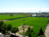 屋上からの風景