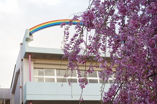 ４月　校舎の虹（春）