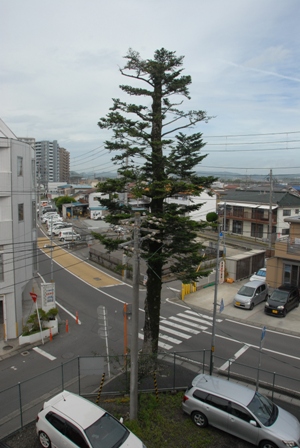 DSC_0353.JPG DSC_0353.JPG