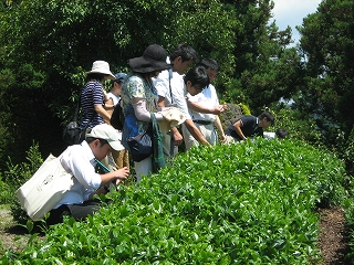 ファイル名: IMG_2429.jpg
ファイルサイズ: 112KB IMG_2429