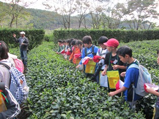 ファイル名: IMG_0888.jpg
ファイルサイズ: 58.3KB IMG_0888