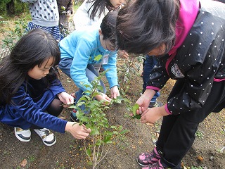 ファイル名: IMG_0715.jpg
ファイルサイズ: 44.9KB IMG_0715