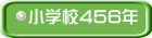 小学校456年