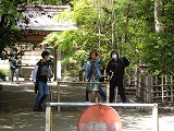 945-1.jpg