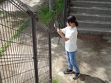 945-2.jpg