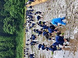 949-1.jpg