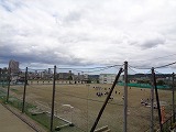 965-1.jpg