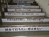 967-3.jpg