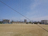 970-1.jpg