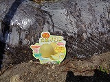 971-2.jpg