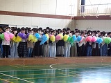 972-3.jpg