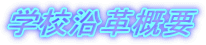 wZvTv