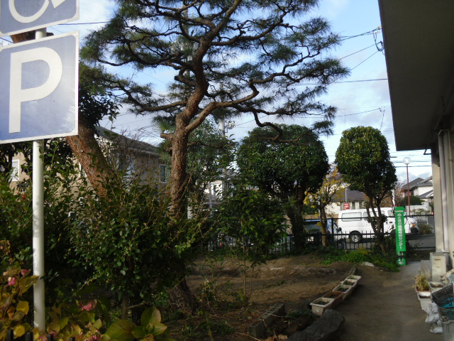 CIMG0581.JPG CIMG0581.JPG