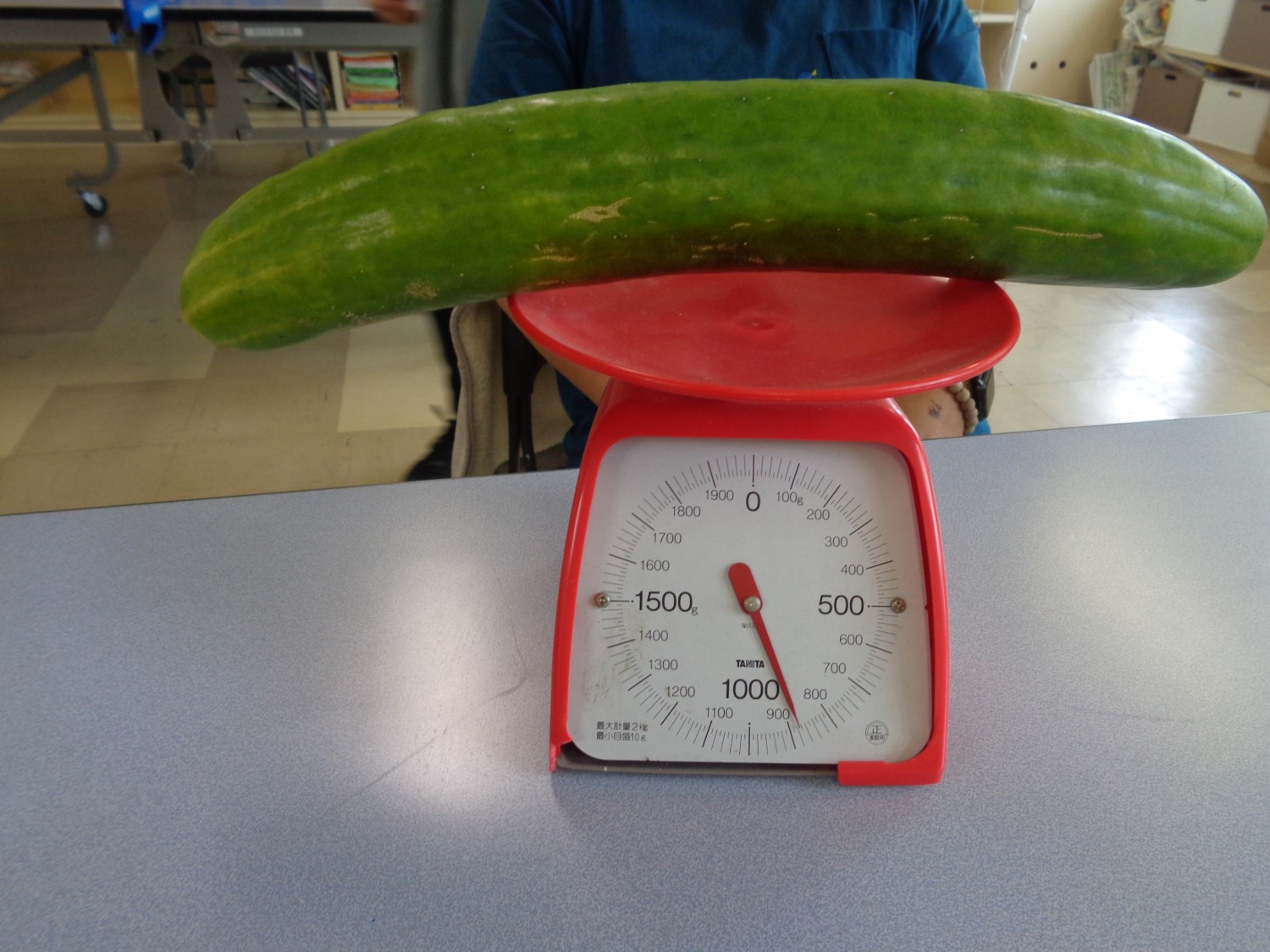 若林おばけ野菜2.jpg 若林おばけ野菜2.jpg
