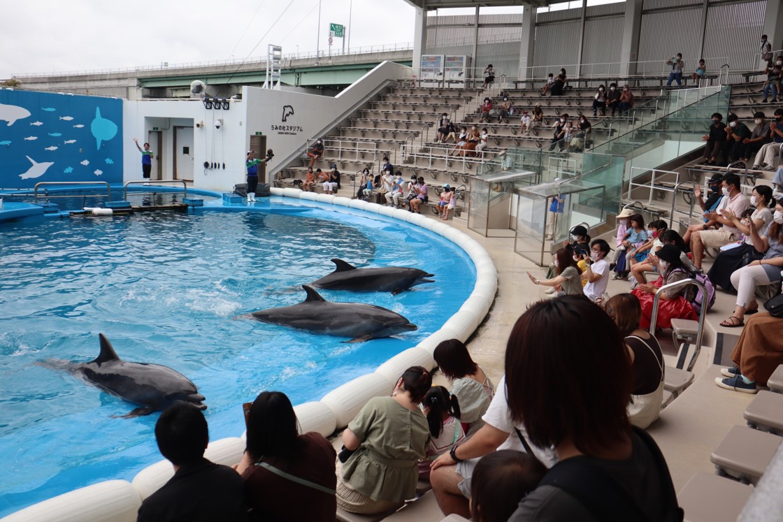 広瀬水族館1.jpg 広瀬水族館1.jpg