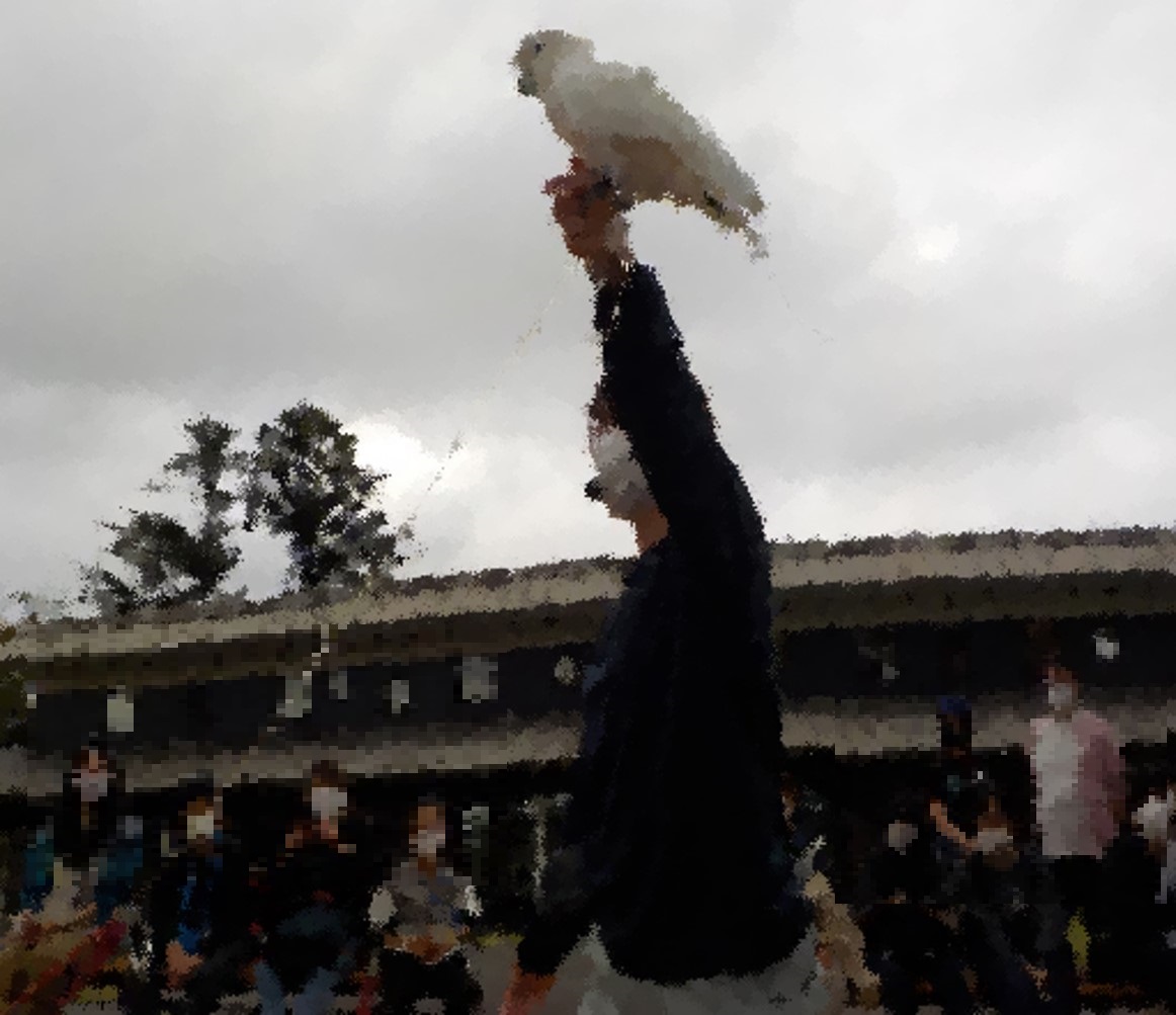 ͷưʪ8.jpg