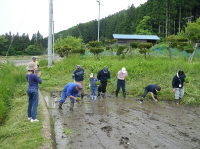 田植え体験活動1.jpg 田植え体験活動1.jpg