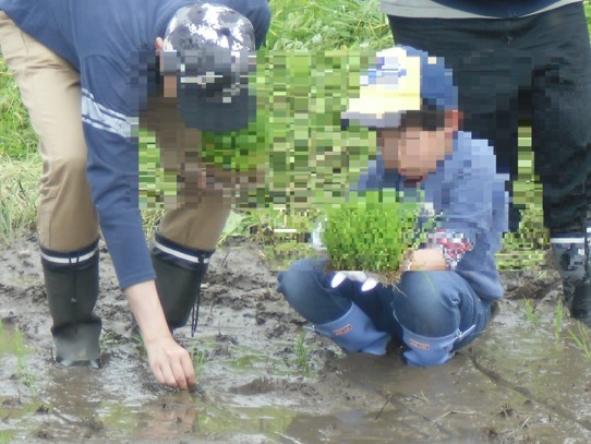 田植え体験活動2.jpg 田植え体験活動2.jpg