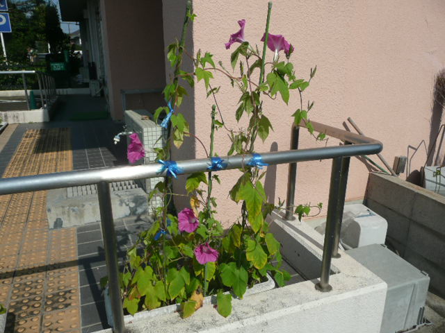 P1090577.JPG