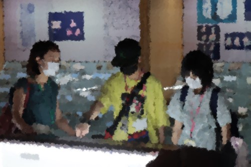 8233.jpg
