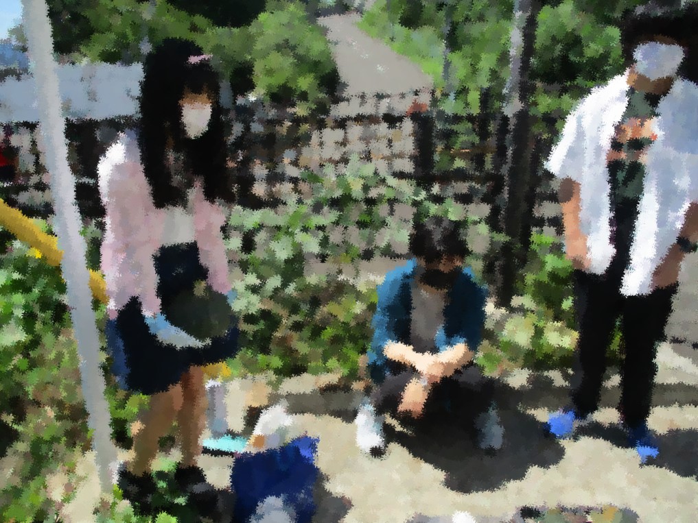 Ȭڻ8292.jpg