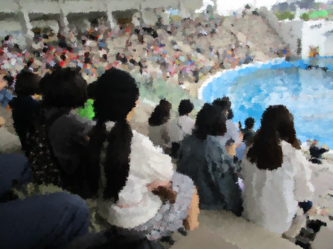 9272.jpg