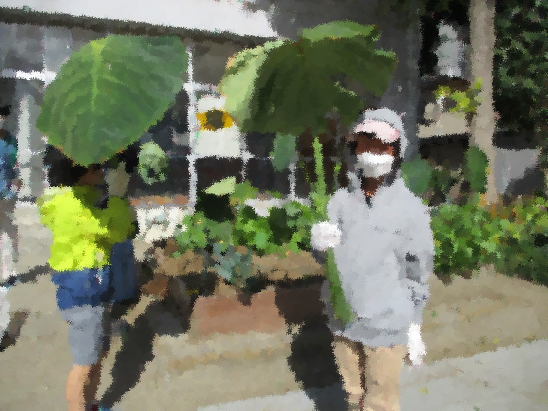 ΩĮ10261.jpg