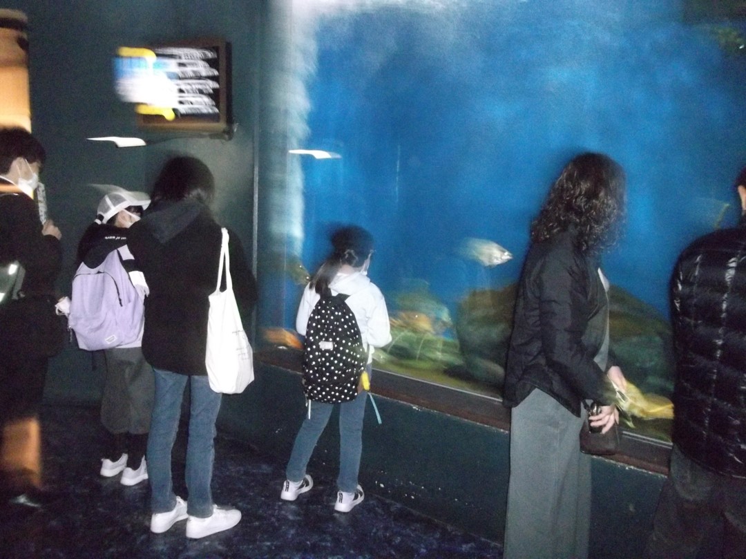 ΩĮ11142.jpg