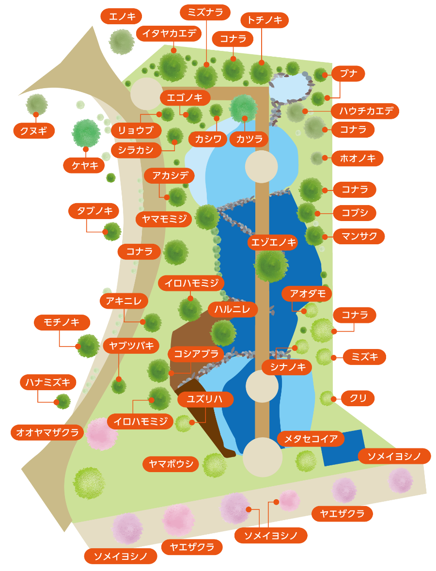 くりりん植物配置図 イメージ