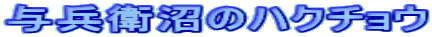 ^q̃nN`E