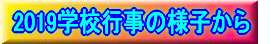 LwZuO 