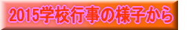 LwZuO 