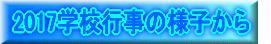 LwZuO 