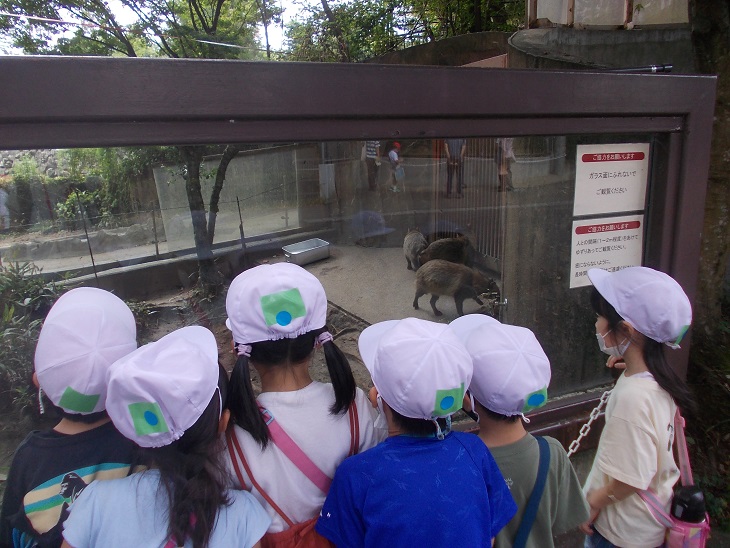 DSCN0036.JPG