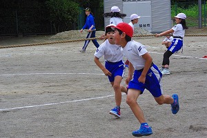 IMGP5881.jpg