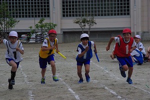 IMGP5933.jpg