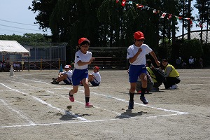 IMG_3406.jpg