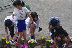 IMGP6133.jpg