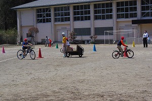 IMGP5448.jpg