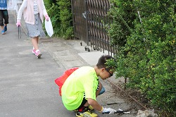 IMG_3549.jpg