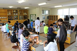 IMG_3532.jpg IMG_3532.jpg