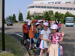 CIMG3528.jpg