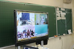 IMG_0392.jpg