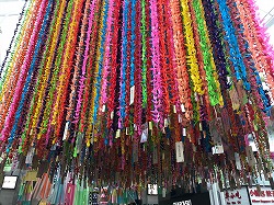 IMG_2417.jpg